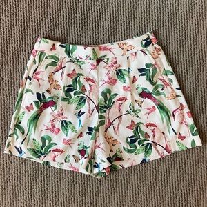 Ann Taylor Factory Shorts